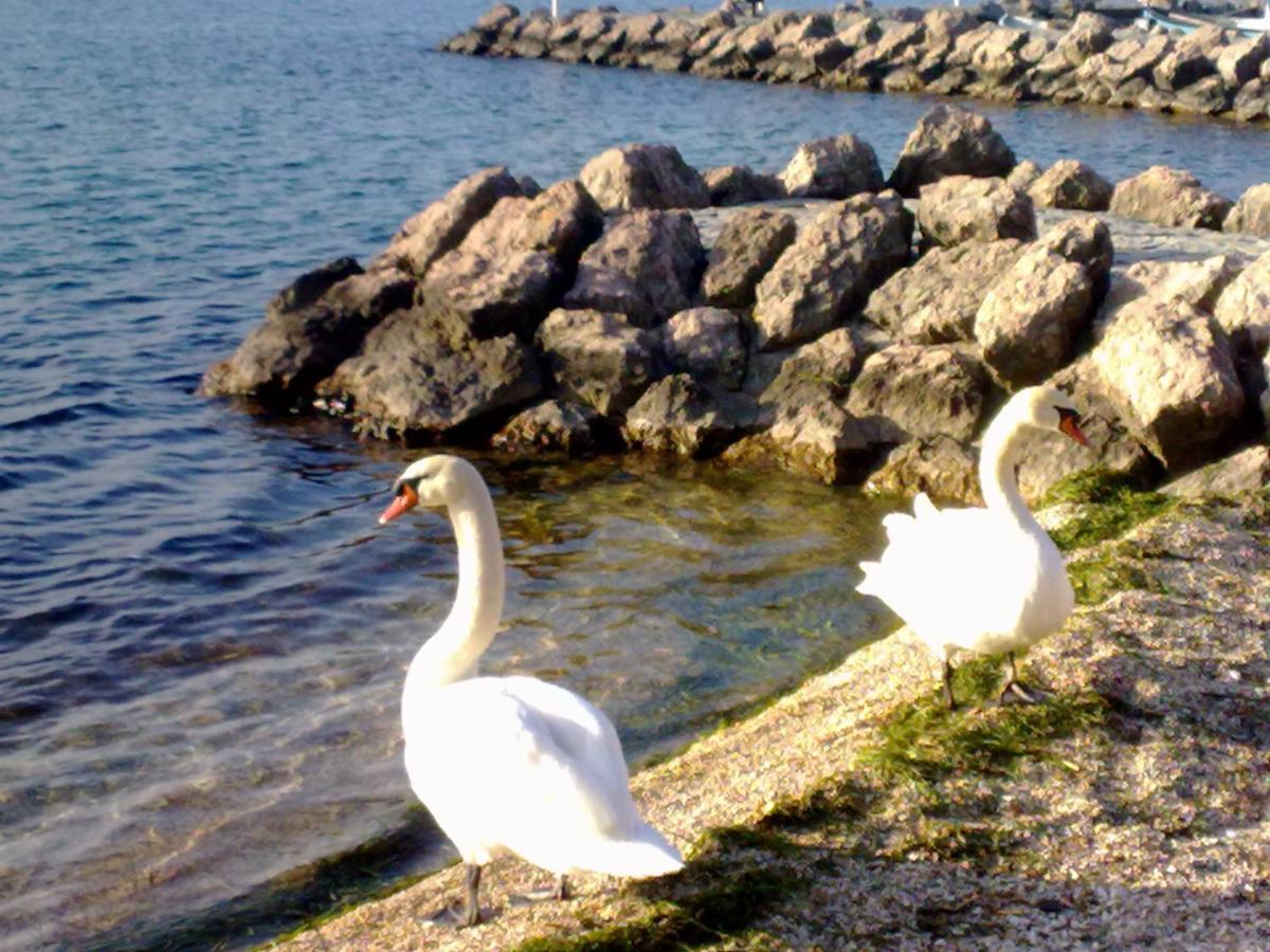 Residenza Al Sogno - On Lake Garda คาวาญอง เวโรเนเซ ภายนอก รูปภาพ
